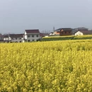 汉中旅游 缩略图 12