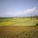 汉中旅游 缩略图 4