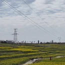 汉中旅游 缩略图 8