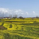 汉中旅游 缩略图 7