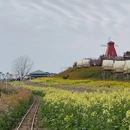 汉中旅游 缩略图 6