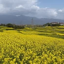 汉中旅游 缩略图 5