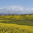 汉中旅游 缩略图 9