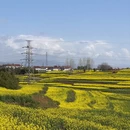 汉中旅游 缩略图 10
