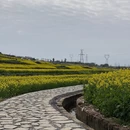 汉中旅游 缩略图 14