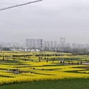 汉中旅游 缩略图 5