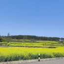 汉中旅游 缩略图 1