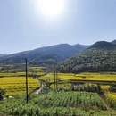 汉中旅游 缩略图 3