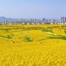 汉中旅游 缩略图 6