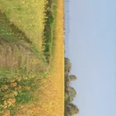 汉中旅游 缩略图 3