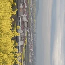 汉中旅游 缩略图 5