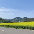 汉中旅游 缩略图 2