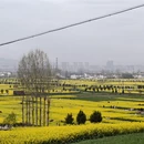 汉中旅游 缩略图 4