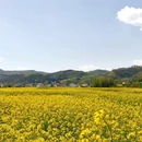 汉中旅游 缩略图 1