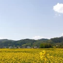 汉中旅游 缩略图 2