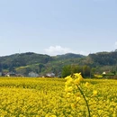 汉中旅游 缩略图 3