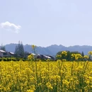 汉中旅游 缩略图 5