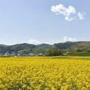 汉中旅游 缩略图 4
