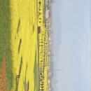 汉中旅游 缩略图 4