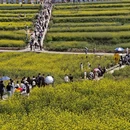 汉中旅游 缩略图 2