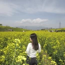 汉中旅游 缩略图 4