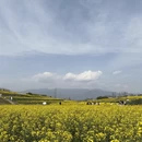 汉中旅游 缩略图 6