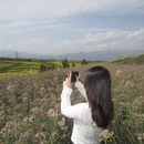 汉中旅游 缩略图 9