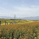 汉中旅游 缩略图 8