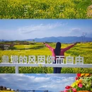 汉中旅游 缩略图 1