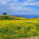 汉中旅游 缩略图 2