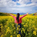 汉中旅游 缩略图 6