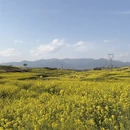 汉中旅游 缩略图 13