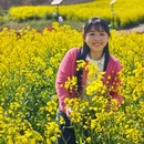 汉中旅游 缩略图 7