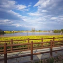 汉中旅游 缩略图 14