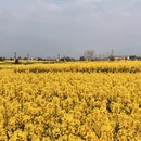 汉中旅游 缩略图 2