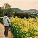 汉中旅游 缩略图 7