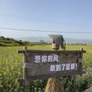 汉中旅游 缩略图 7