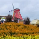 汉中旅游 缩略图 7