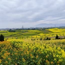 汉中旅游 缩略图 3