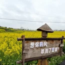 汉中旅游 缩略图 7