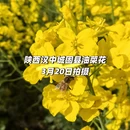 汉中旅游 缩略图 1