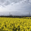 汉中旅游 缩略图 5