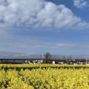 汉中旅游 缩略图 6