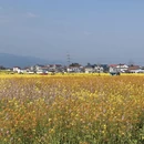 汉中旅游 缩略图 3