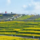 汉中旅游 缩略图 2