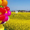 汉中旅游 缩略图 1