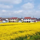 汉中旅游 缩略图 8