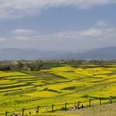 汉中旅游 缩略图 3