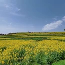 汉中旅游 缩略图 5