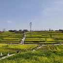 汉中旅游 缩略图 4
